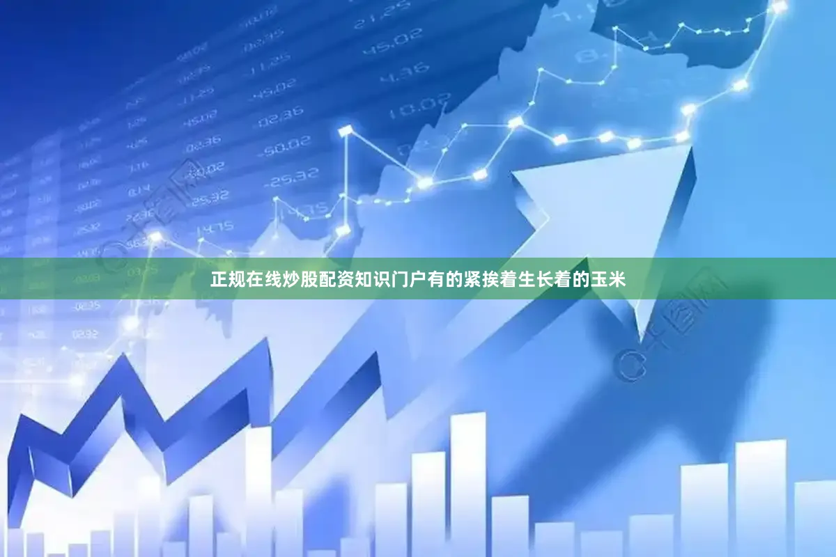 正规在线炒股配资知识门户有的紧挨着生长着的玉米